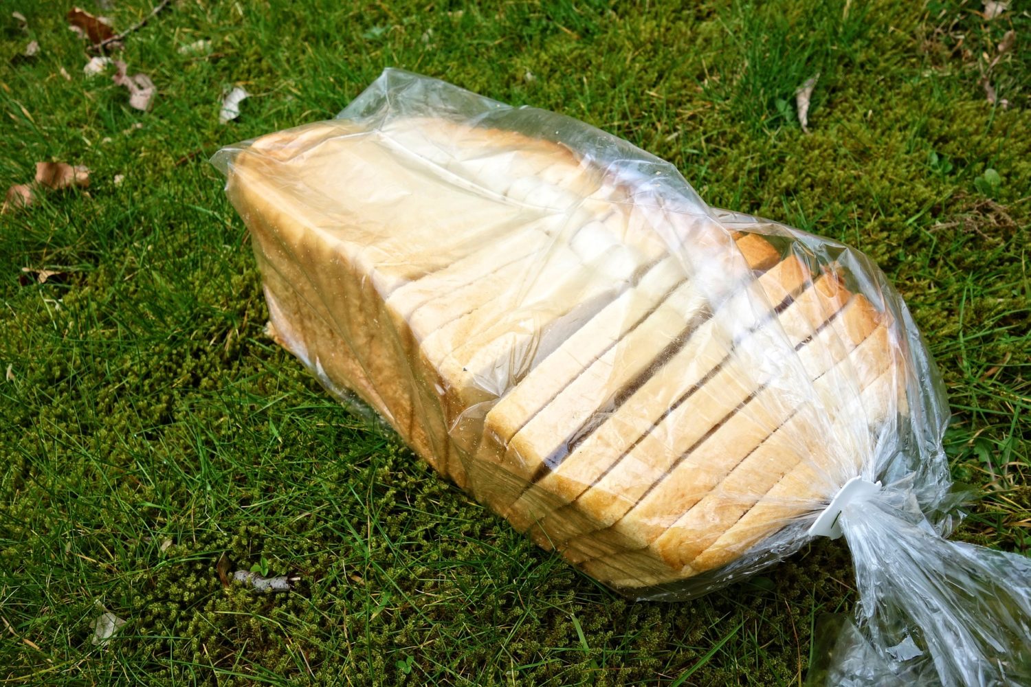 https://www.polybags.com/wp-content/uploads/2021/06/white-bread-3279815_1920-scaled.jpg